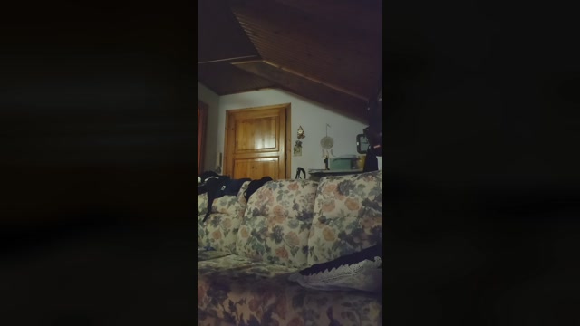 piggiu9010  28-06-2022